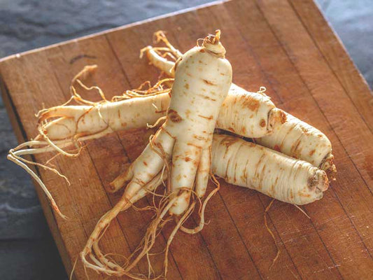 Ginseng beginner’s guide