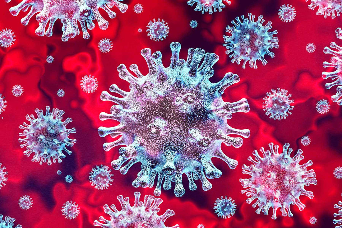 What You Need to Know About Flu Viruses