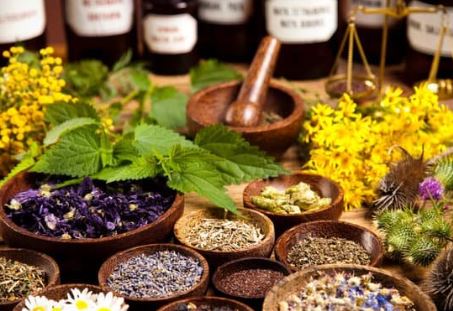 Detoxifying Herbs