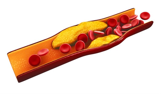 Cholesterol: The Very Basics